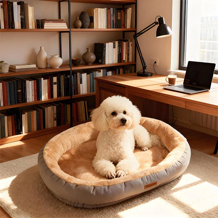 Oval Plush Bed for Dogs & Cats Skanto