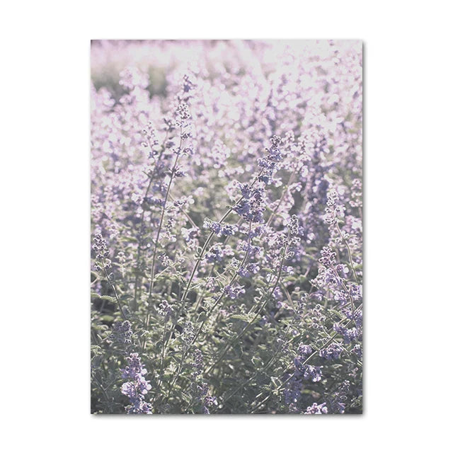 Provence Landskap Purpur Lavendel Bilder av rolig vegkunst Fine Art lerretsutskrifter Galleri veggbilder for stue Kunst Dekor | Skanto