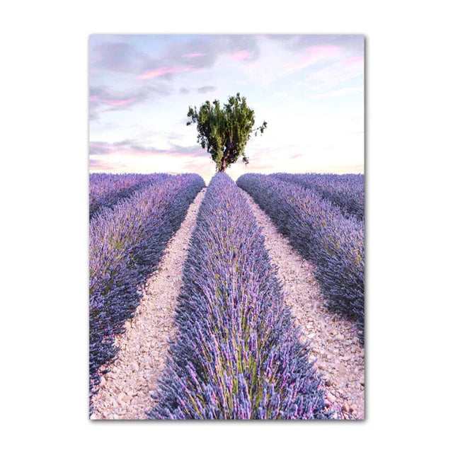 Provence Landskap Purpur Lavendel Bilder av rolig vegkunst Fine Art lerretsutskrifter Galleri veggbilder for stue Kunst Dekor | Skanto