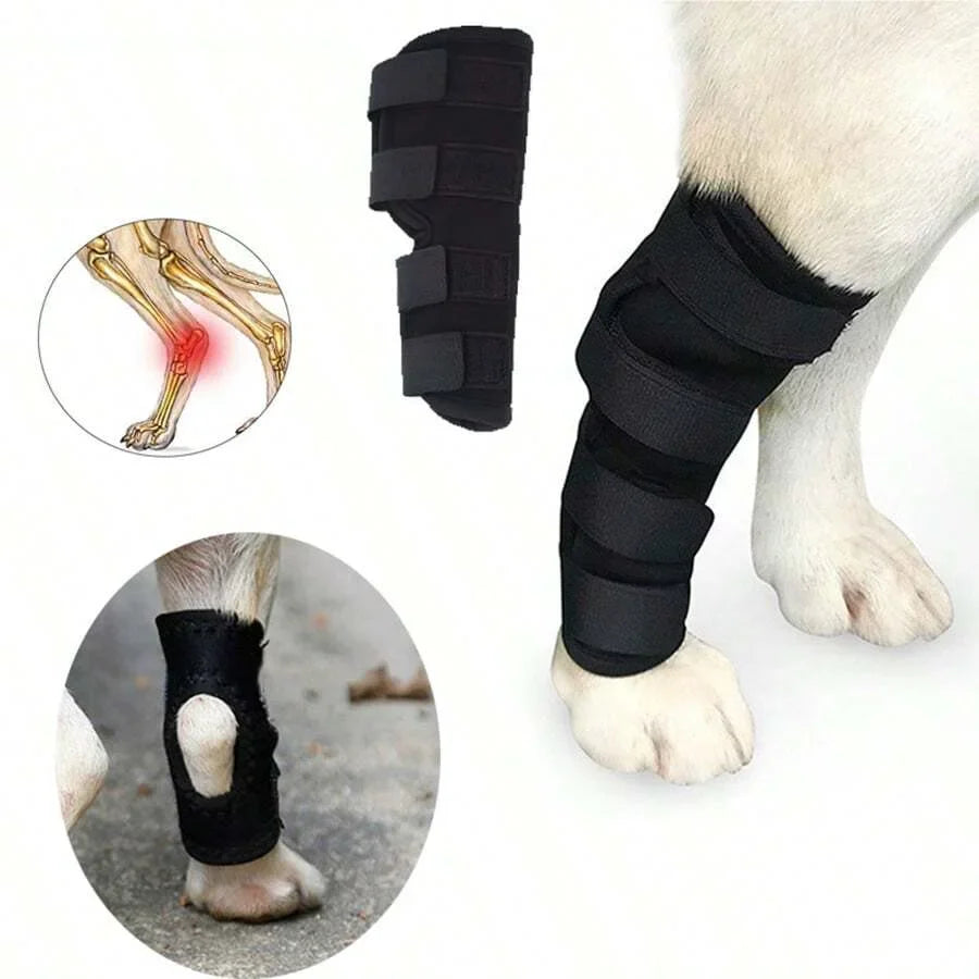 Felles støtte for hunder stabilisering & beskyttelse Skanto