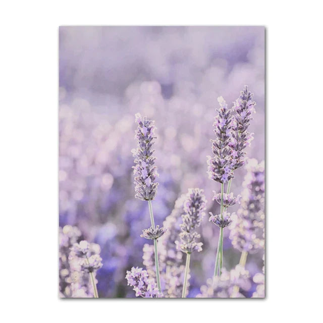 Provence Landskap Purpur Lavendel Bilder av rolig vegkunst Fine Art lerretsutskrifter Galleri veggbilder for stue Kunst Dekor | Skanto