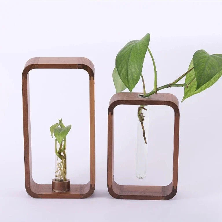Skanto Hohler Plante Propagator | Dekorativ Plantevekst Stasjon | Perfekt for Hjem og Kontor