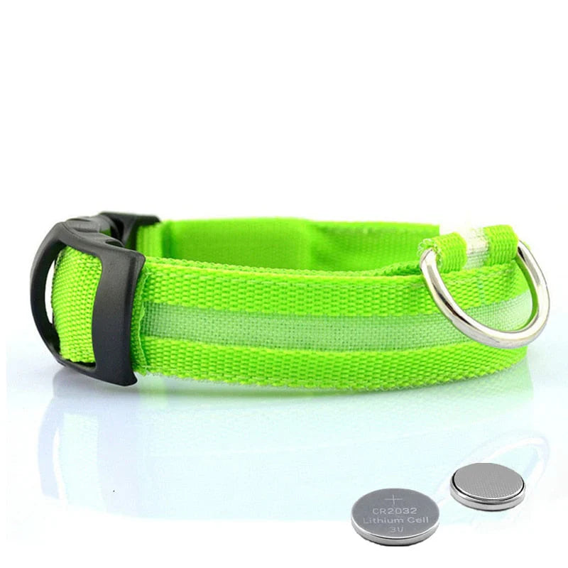 GlowCollar LED – BrightPaws Skanto