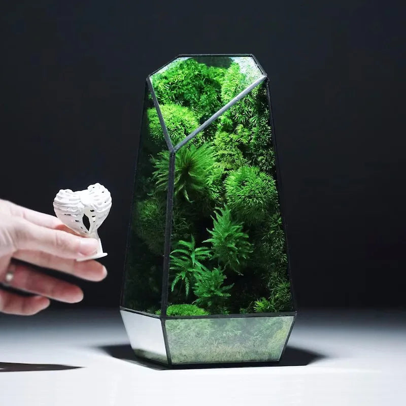 Moderne geometrisk, inspirert av naturen botanisk terrarium | Skanto