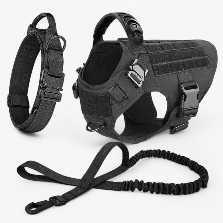 Skanto | Robust og komfortabelt design for sikker trening