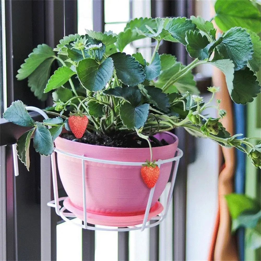 Skanto | Praktisk plantekrukkeholder med stabil metallramme for balkong og terrasse