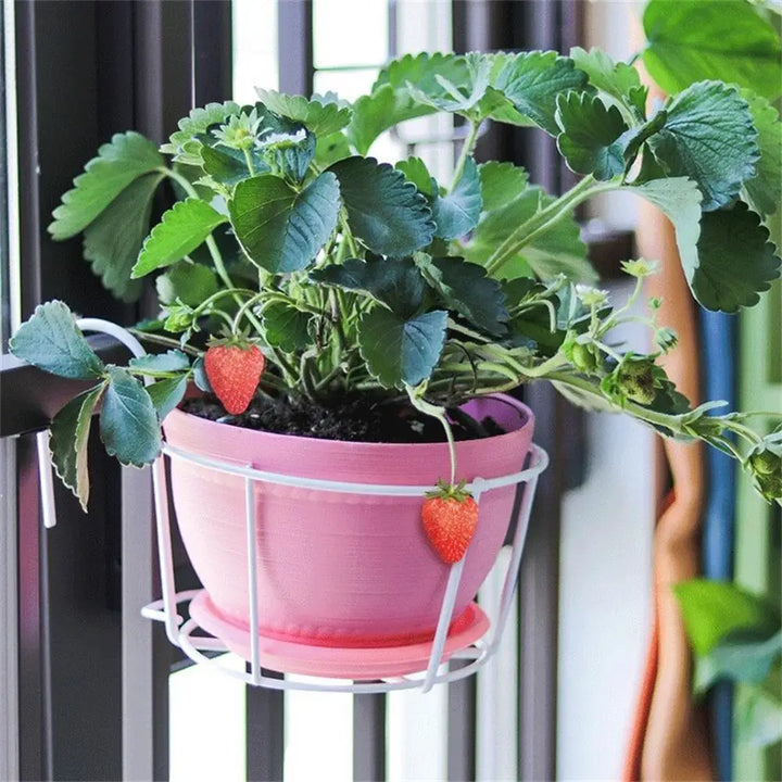 Skanto | Praktisk plantekrukkeholder med stabil metallramme for balkong og terrasse