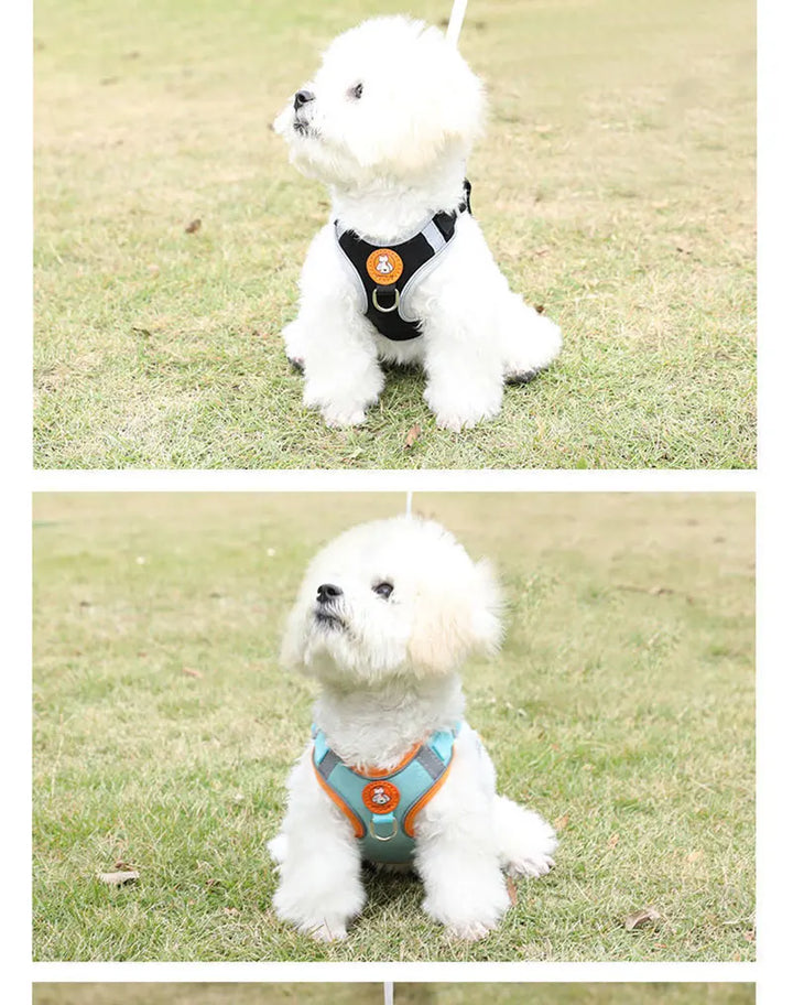 Pustende hundesele justerbar & komfortabel Skanto