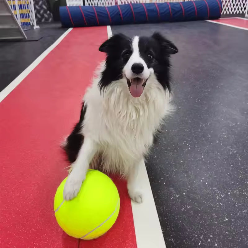 Ekstra stor tennisball for hunder Skanto