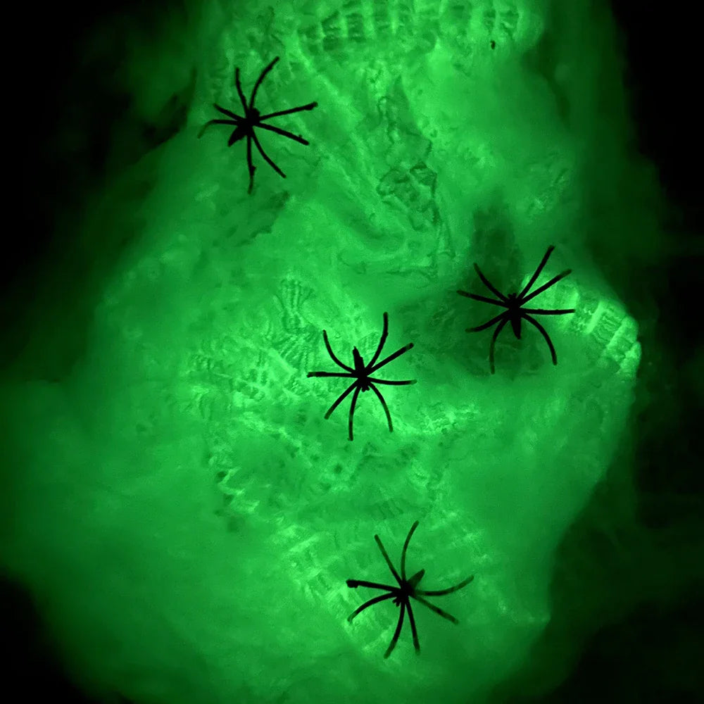 Skanto | Luminous Spider Web