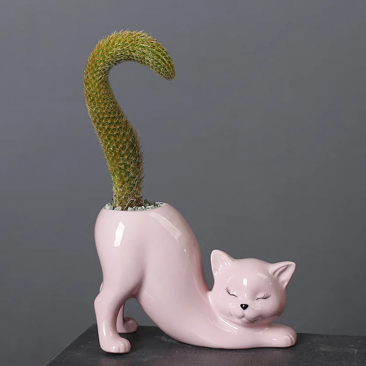 Søt katt blomsterpotte - Glasert porselen saftig planter | Skanto
