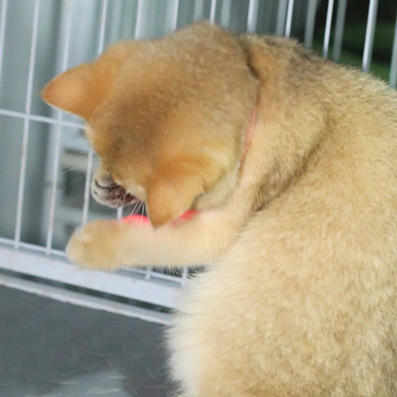 Freesthetic Laser Collar for Cats Skanto