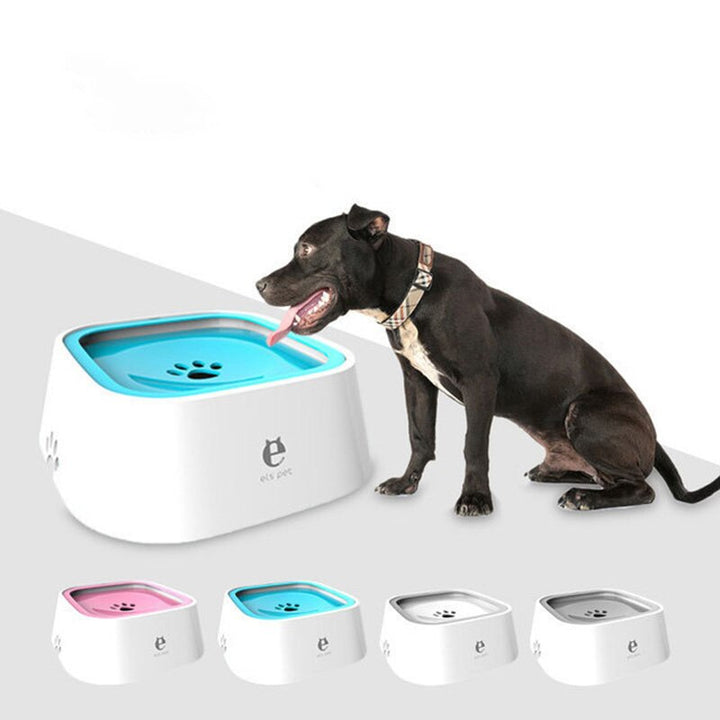 SplashGuard – Effektiv Hundespraybeskytter Mot Flekkene Skanto