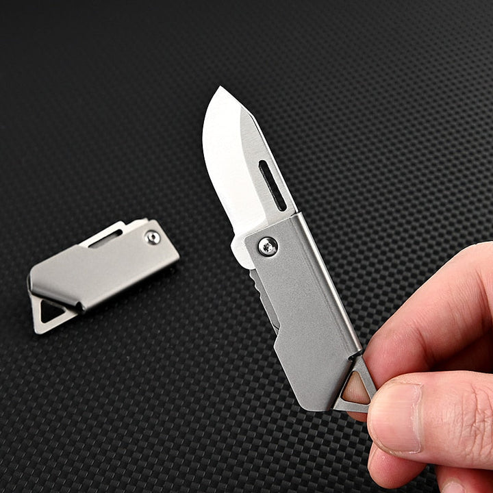 Foldbar Master Rustfritt Stål Overlevelse Mini Kniv | Skanto