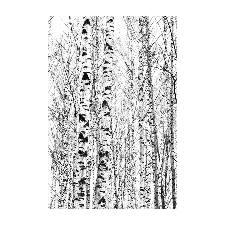 Northern Wilderness Eagle Deer Landscape Wall Art Fine Art Canvas Prints Pictures For Living Room Dining Room Nordic Home Decor | Skanto