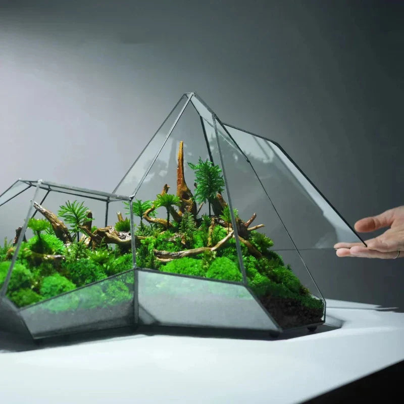 Geometrisk glassmoos-plantekasse terrarium-vase | Skanto