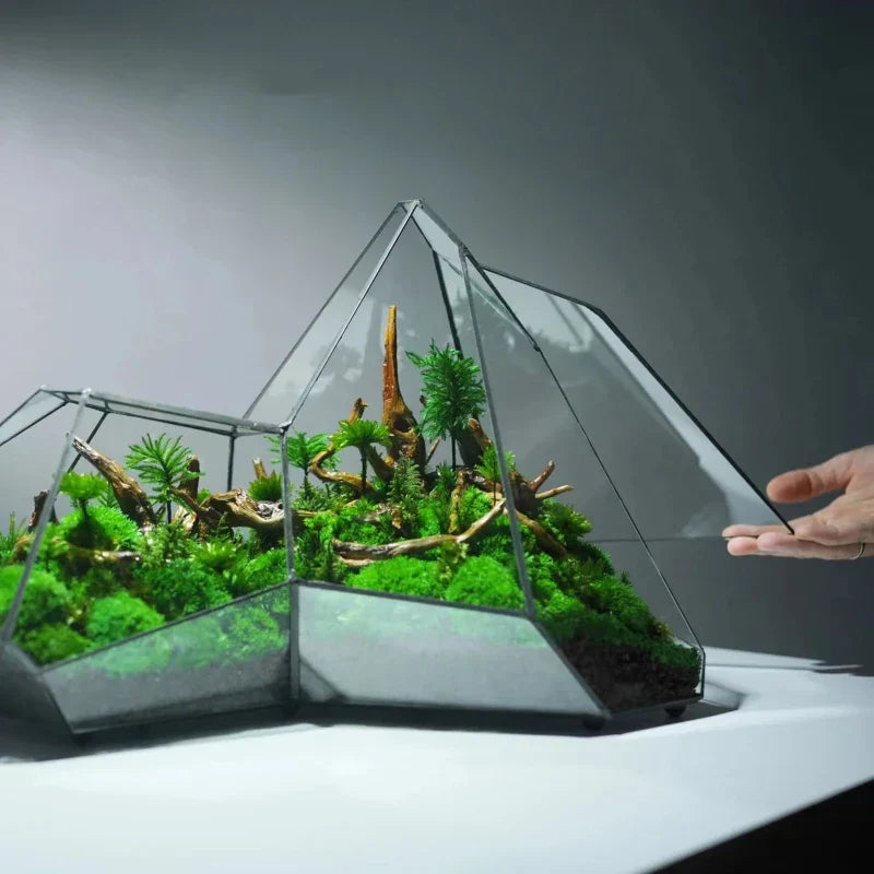 Geometrisk Glass Moss Plante Terrarium Vase | Skanto