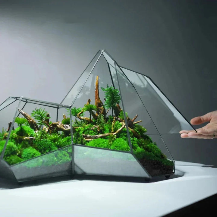 Geometrisk Glass Moss Plante Terrarium Vase | Skanto