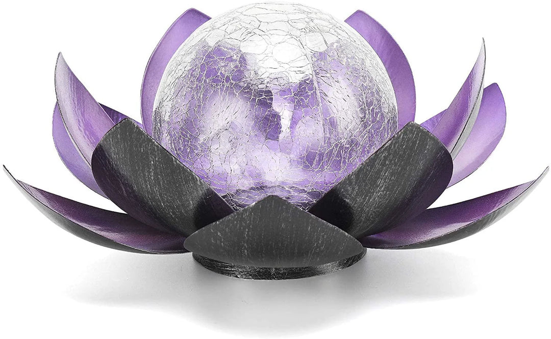 Solar Lotus Risshagenlys
