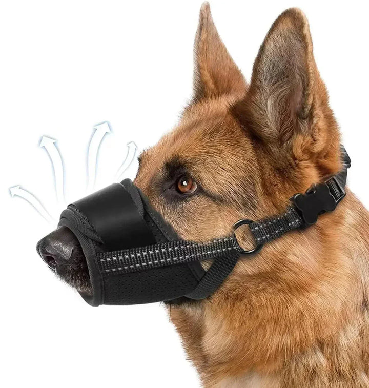 Skanto | Pustende Hundemuzzle