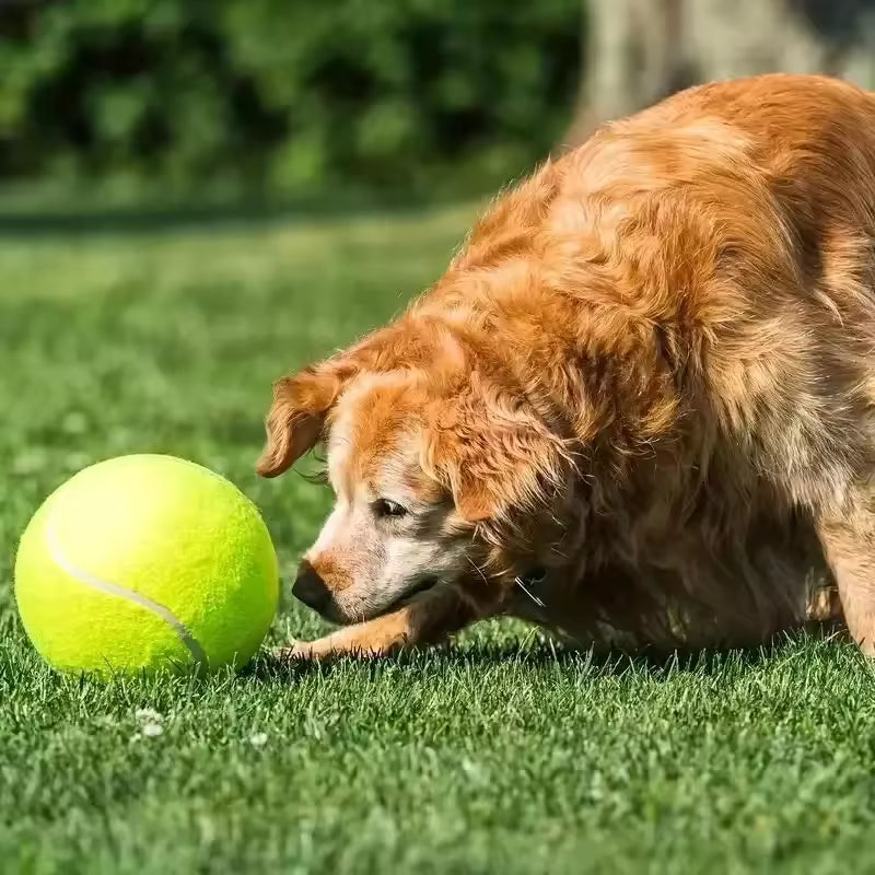 Ekstra stor tennisball for hunder Skanto