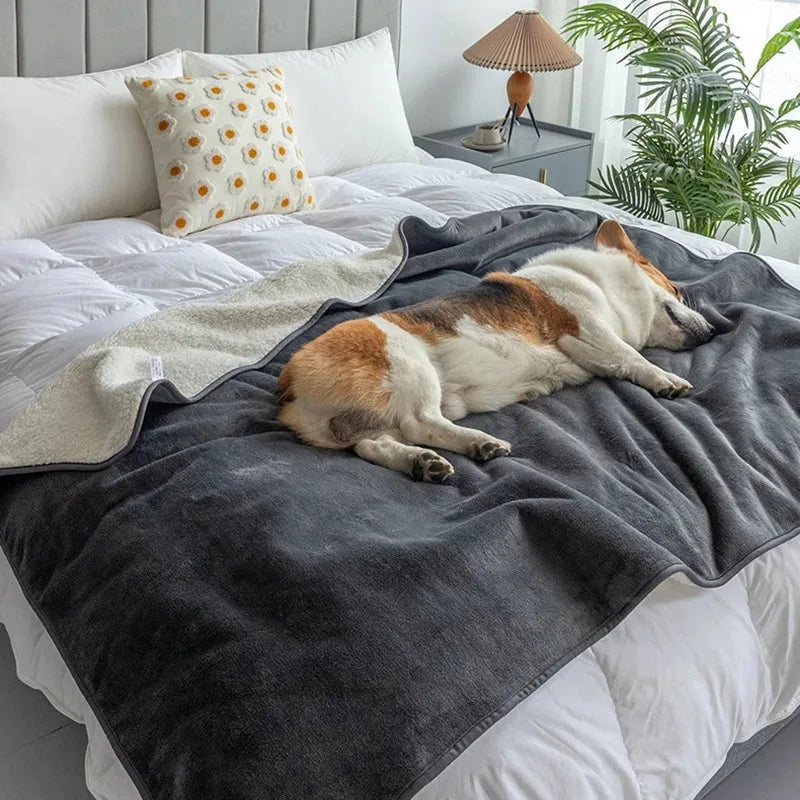 Skanto | Vanntett Kjæledyrteppe PawProof | For Hunder & Katter | Koselig & Slitesterk