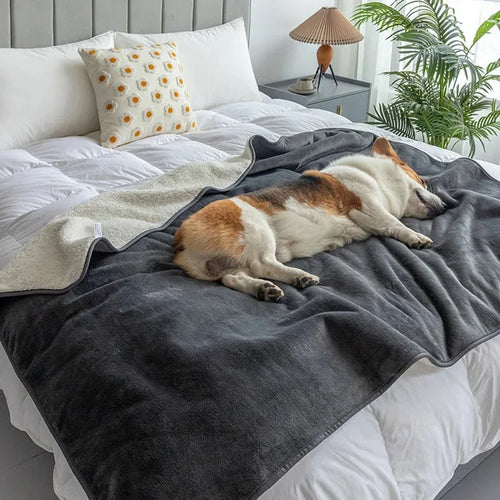 Skanto | Vanntett Kjæledyrteppe PawProof | For Hunder & Katter | Koselig & Slitesterk