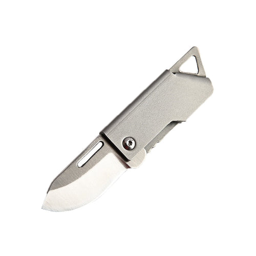 Foldbar Master Rustfritt Stål Overlevelse Mini Kniv | Skanto