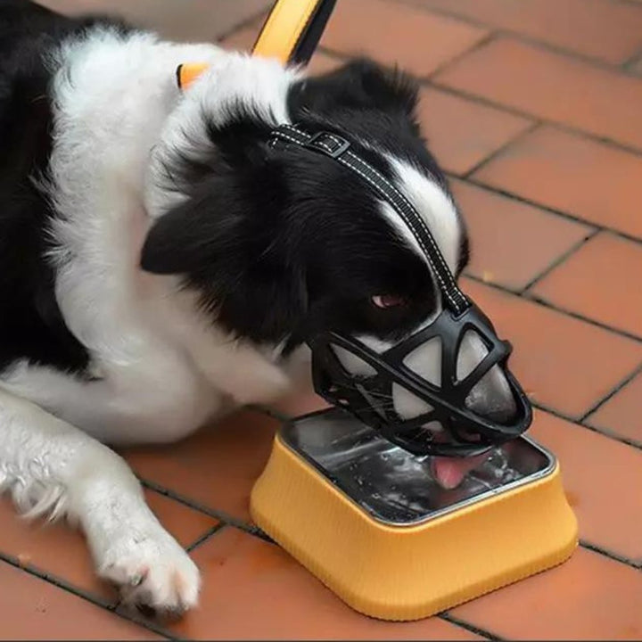 SafeBark Hundebur – Effektiv Anti-Bite og Anti-Bark Løsning, Pustende og Komfortabel | Skanto