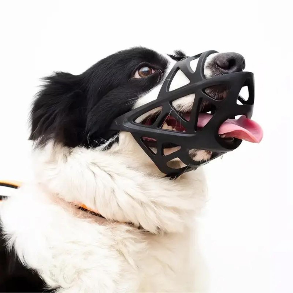 SafeBark Hundebur – Effektiv Anti-Bite og Anti-Bark Løsning, Pustende og Komfortabel | Skanto