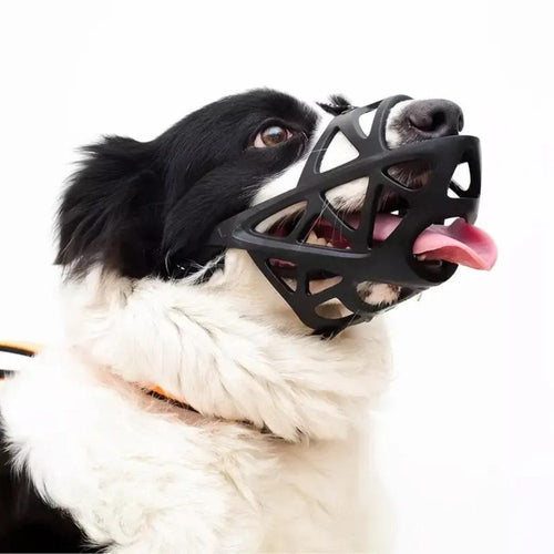 SafeBark Hundebur – Effektiv Anti-Bite og Anti-Bark Løsning, Pustende og Komfortabel | Skanto