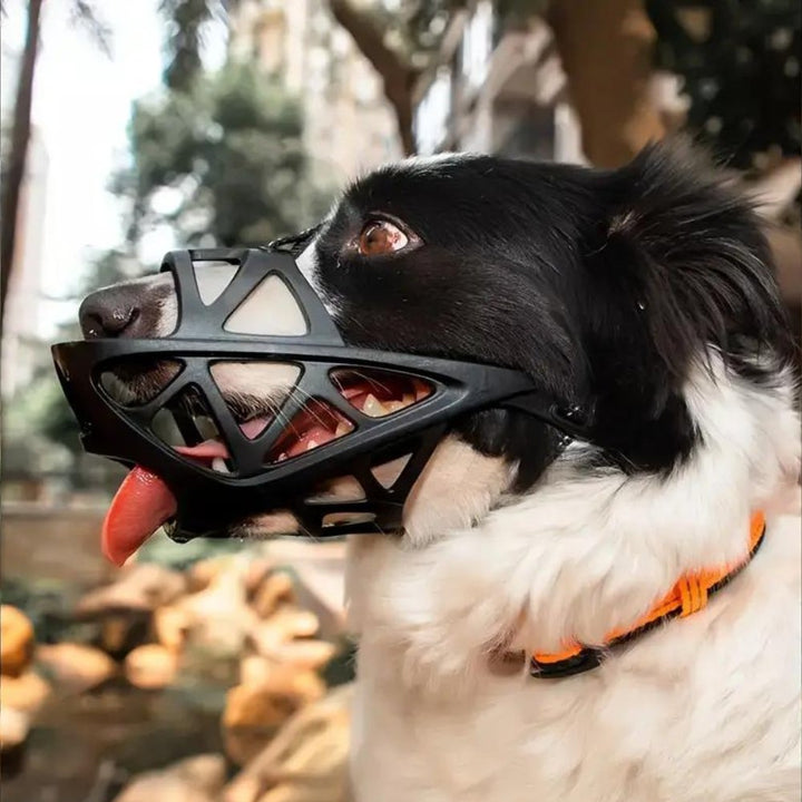 SafeBark Hundebur – Effektiv Anti-Bite og Anti-Bark Løsning, Pustende og Komfortabel | Skanto