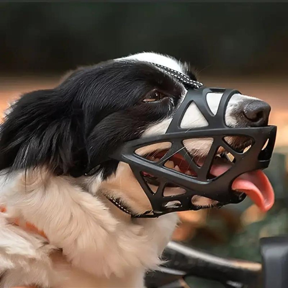 SafeBark Hundebur – Effektiv Anti-Bite og Anti-Bark Løsning, Pustende og Komfortabel | Skanto
