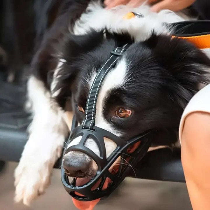 SafeBark Hundebur – Effektiv Anti-Bite og Anti-Bark Løsning, Pustende og Komfortabel | Skanto