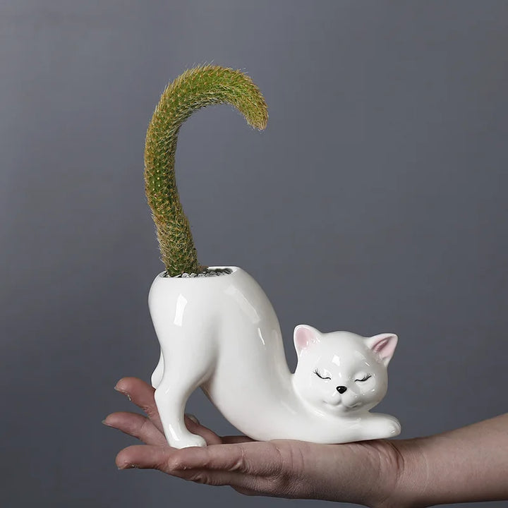 Søt katt blomsterpotte - Glasert porselen saftig planter | Skanto