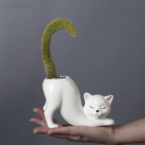 Søt katt blomsterpotte - Glasert porselen saftig planter | Skanto