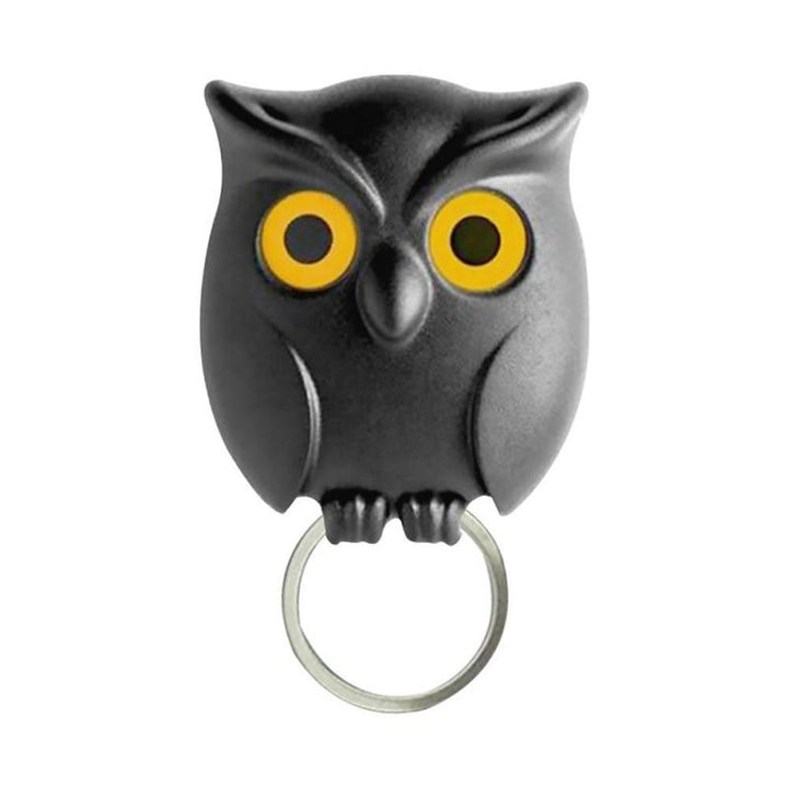 Kunstnerisk sjarmerende dyre magnet nøkkelring organizer krok | Skanto