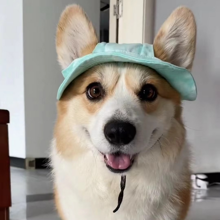 Skanto | Chic Pet Sun Hat - Lettvekts og stilfull solbeskyttelse for hunder og katter