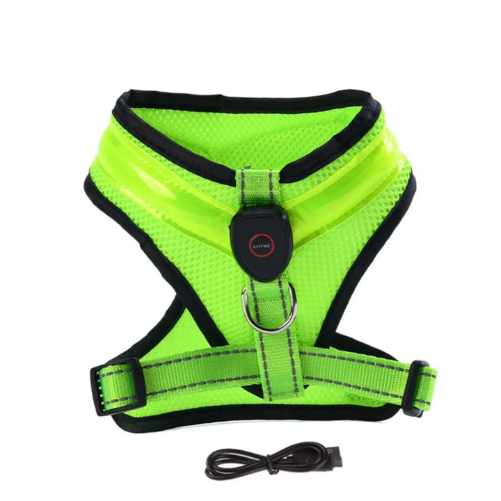 LED Hundesele USB oppladbar og justerbar Skanto
