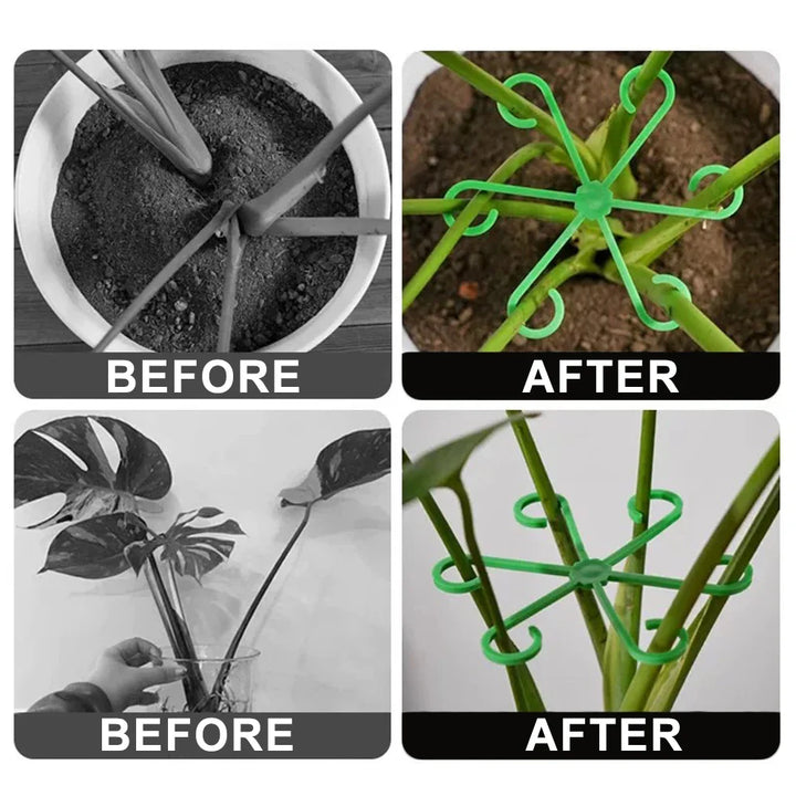 Skanto | Plante Stengel Støtte Ramme