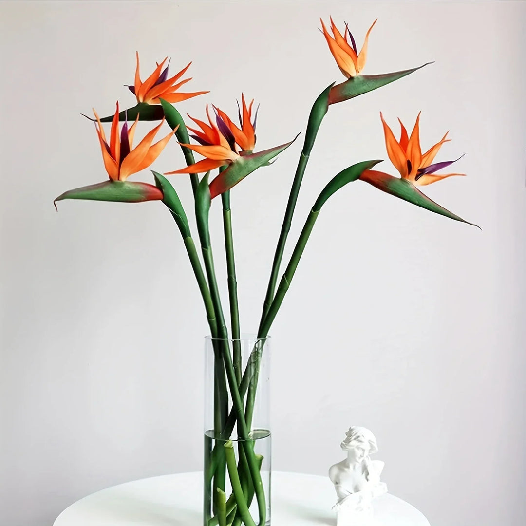 Skanto | Floriva 3 Delt Sett Kunstige Strelitzia | Papegøye Blomster | 24,5 cm Lange Stengler | Dekorasjon for Hjem, Kontor & Arrangementer