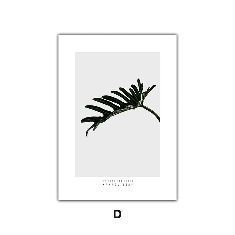 Minimalistiske Grønne Blader Moderne Botaniske Eksemplar Veggkunst Kunstneriske Lerretsutskrifter Galleri Veggbilder For Stue Spisestue Kunst Dekor | Skanto