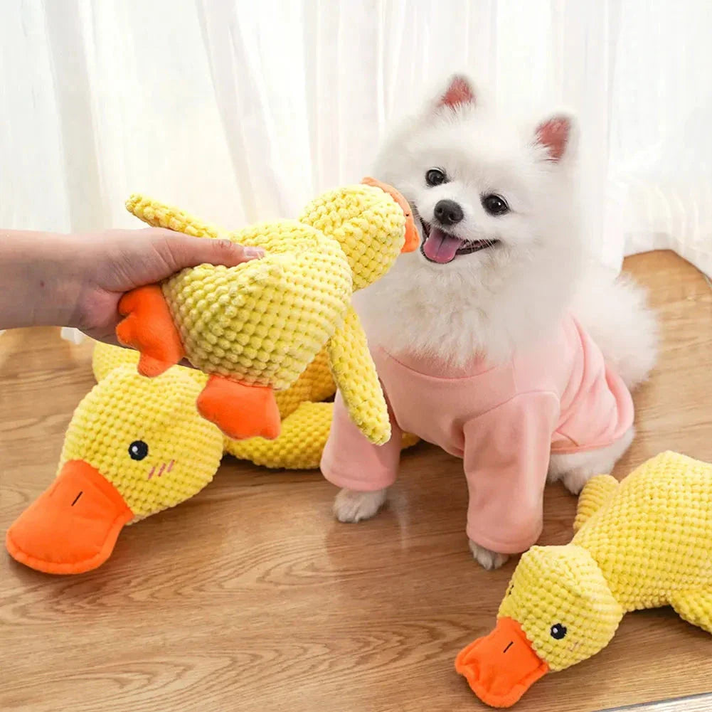 Skanto Quack Leke