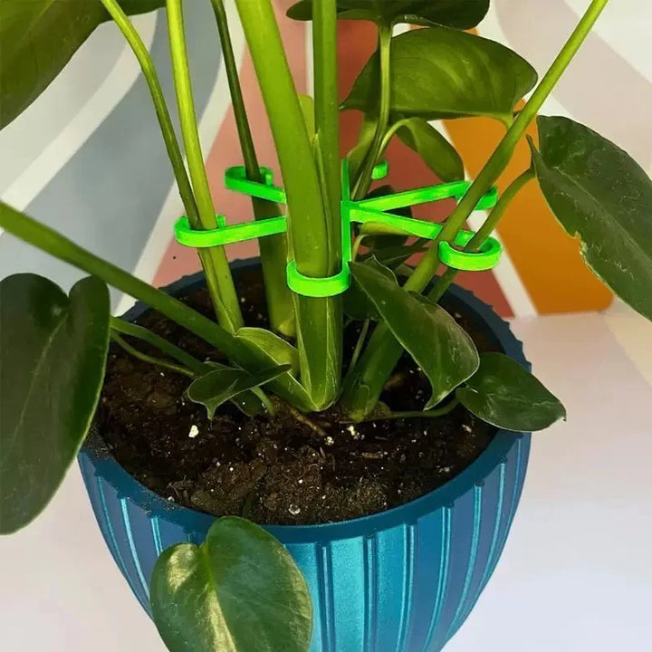 Skanto | Plante Stengel Støtte Ramme