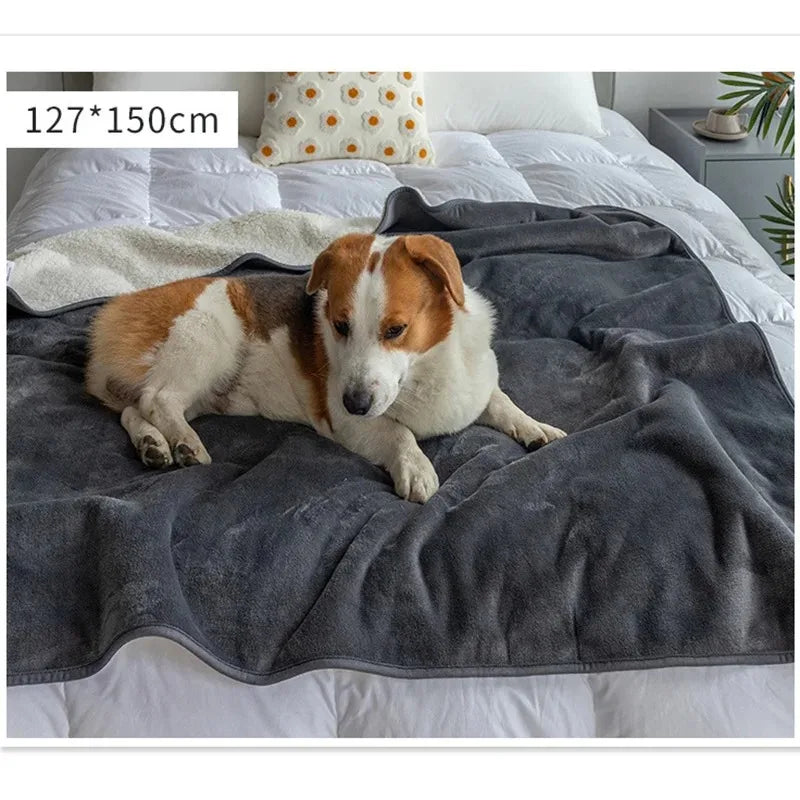 Skanto | Vanntett Kjæledyrteppe PawProof | For Hunder & Katter | Koselig & Slitesterk