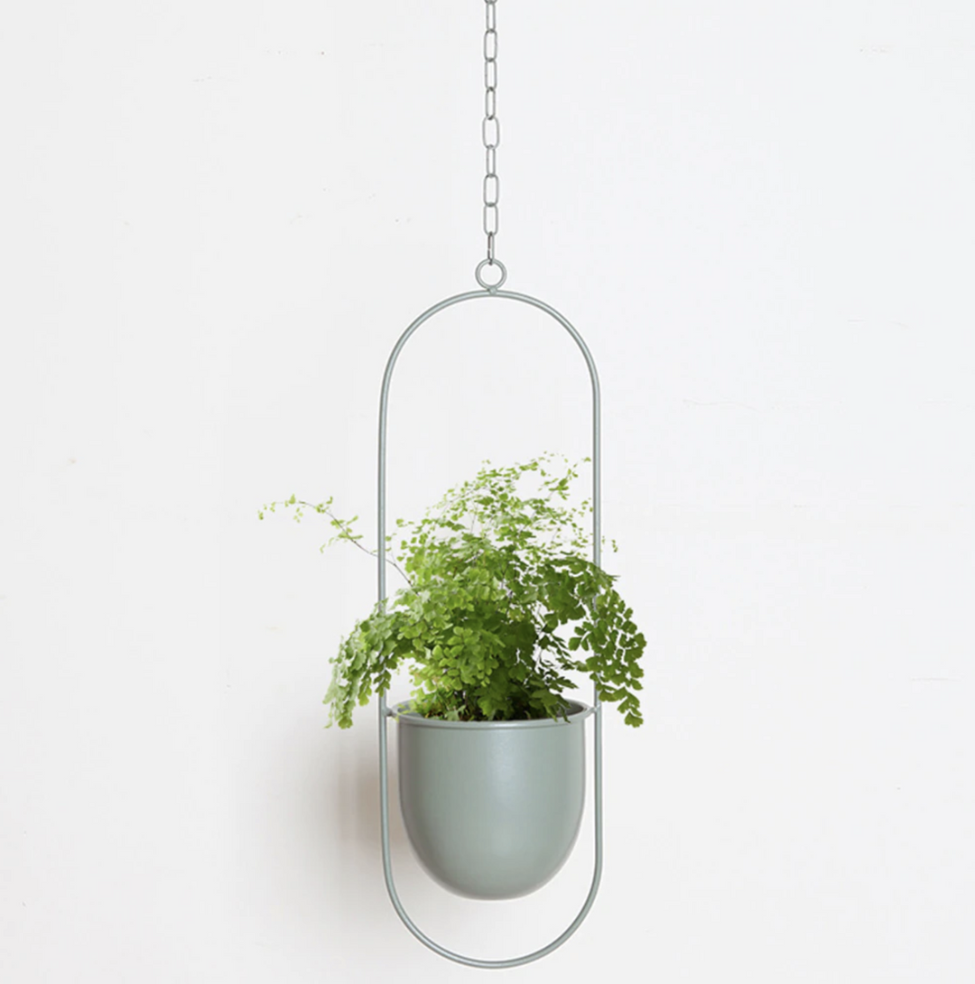 Skanto | FloraFrame – Elegant Metallplanteholder for Vegg eller Tak