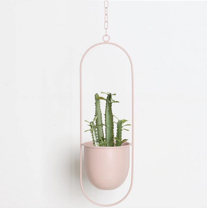 Skanto | FloraFrame – Elegant metallplanteholder for vegg eller tak