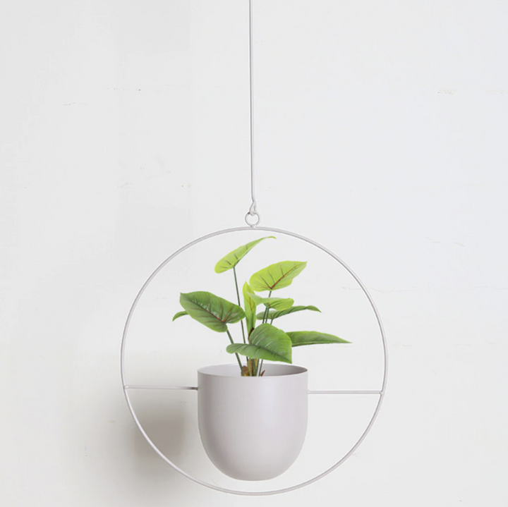 Skanto | FloraFrame – Elegant Metallplanteholder for Vegg eller Tak