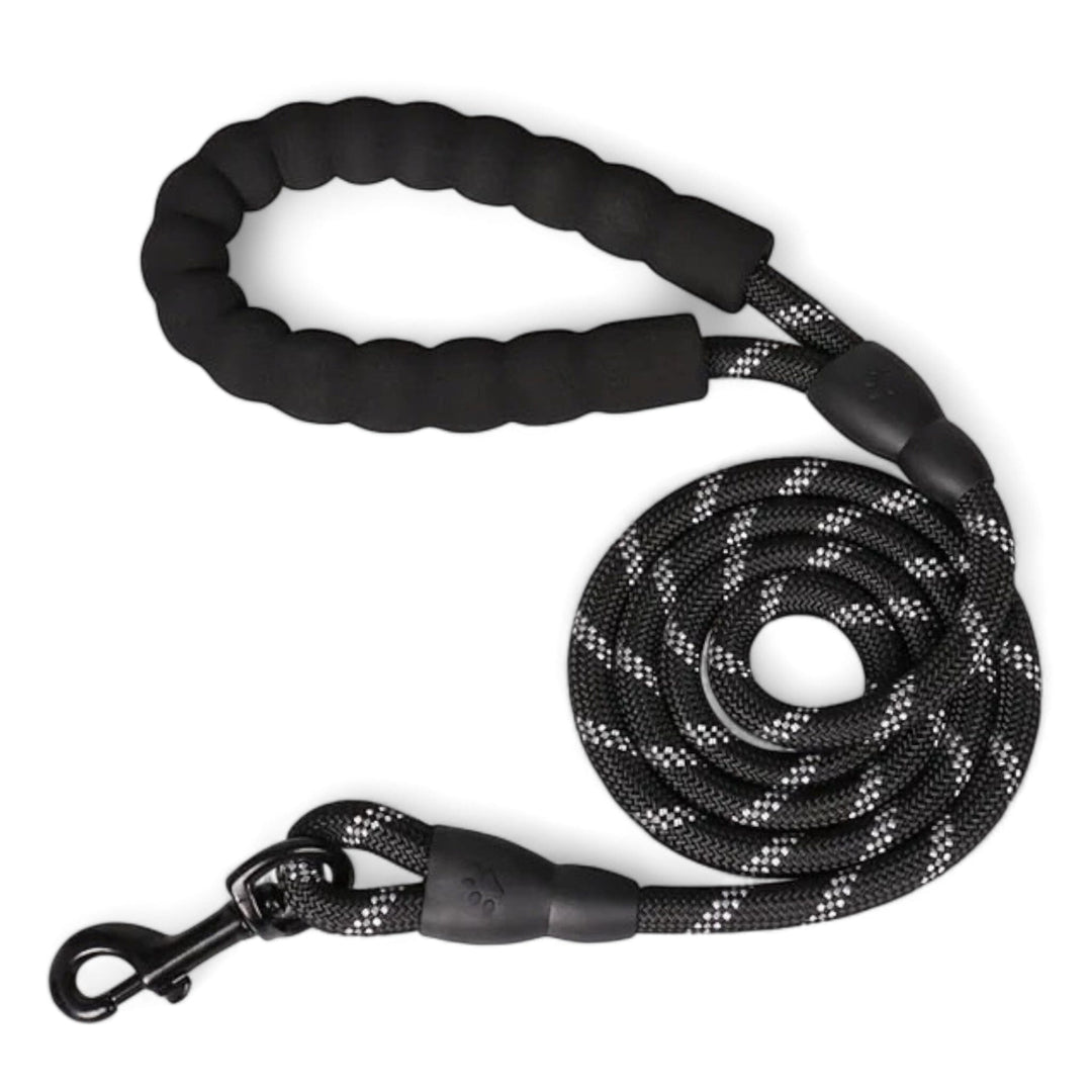 Skanto Pully