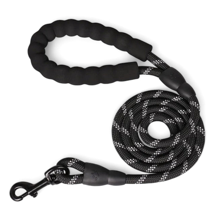 Skanto Pully